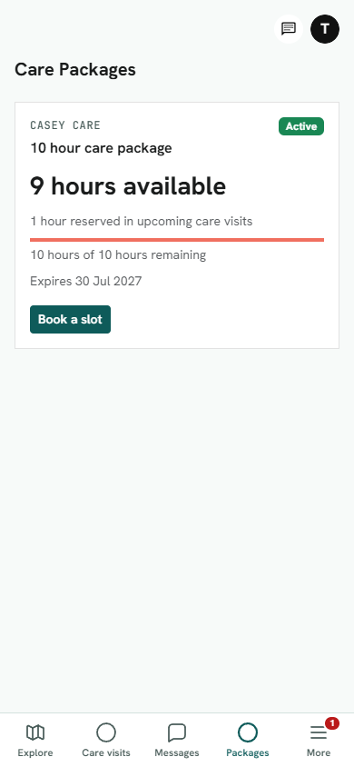 Client package balance showing ten hours available